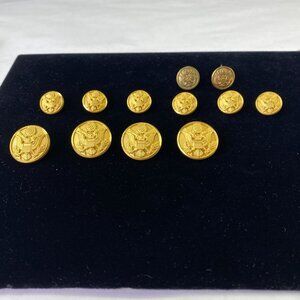 Vintage Waterbury US Army Military Dress Buttons Lot of 12